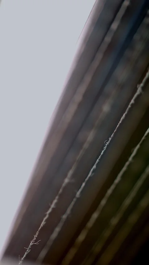 Thread. close-up. dyeing and drying of threads for further fabric production by Stock Footage 315365216