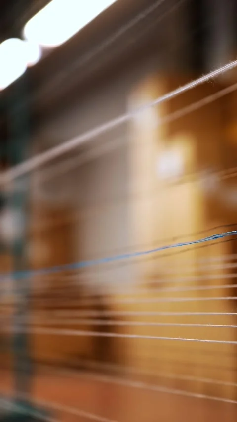 Thread. close-up. dyeing and drying of threads for further fabric production by Stock Footage 317170760
