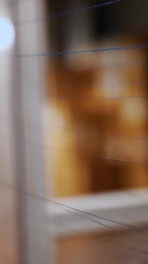 Thread. close-up. dyeing and drying of threads for further fabric production by Stock Footage 317314270