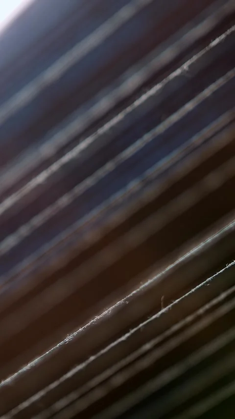 Thread. close-up. dyeing and drying of threads for further fabric production by Stock Footage 318683557