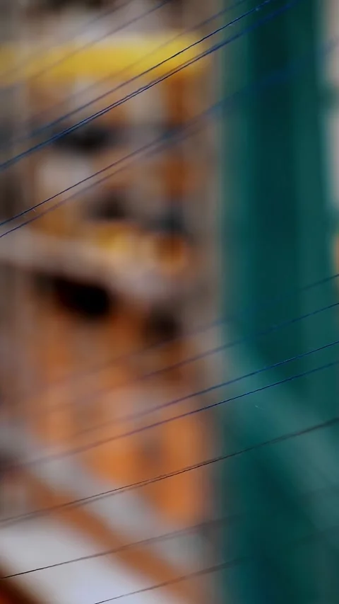 Thread. close-up. dyeing and drying of threads for further fabric production by Stock Footage 319017050