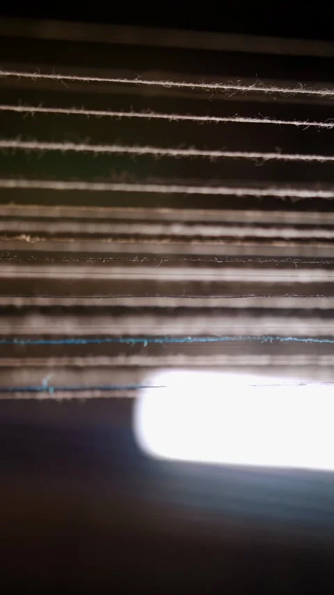 Thread. close-up. dyeing and drying of threads for further fabric production by Video stock 319481911
