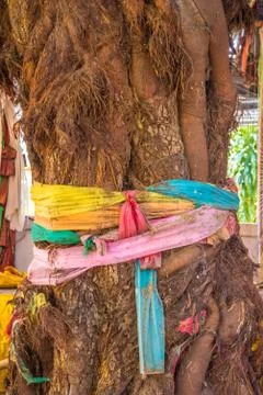 Thread colors Stock Photos