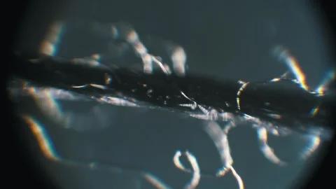 Thread Filaments with Spectral Light Macro View Stock Footage 319665757