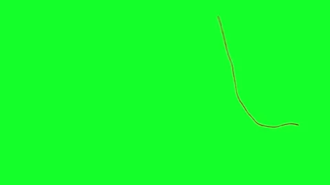 Thread Floating in AIr Green Screen Video stock 252564488