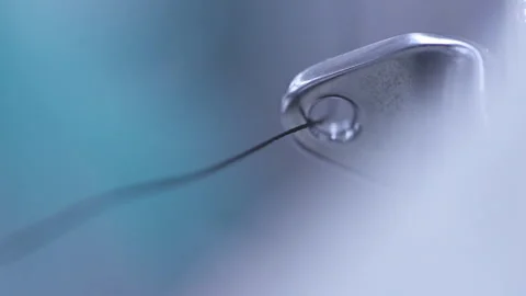 Thread Guide On A Sewing Machine. Close Up. Stock Footage 266143237