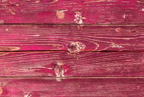 Threadbare planks Painted old wooden wall. Pink and fuchsia background. Co... Stock Photos