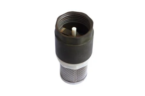 Threaded water filter strainer with black plastic housing and metal mesh screen, Stock Photos