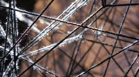 Threads in sunlight 스톡 사진