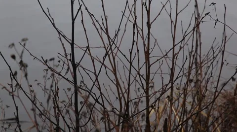 Threads of the water. gray mood 動画素材 48896562