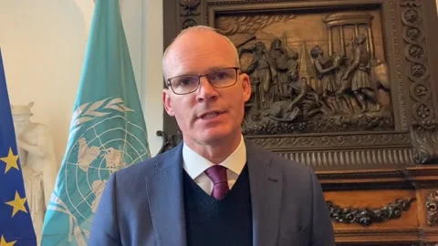 Threat of Stormont election puts all sides 'under pressure', says Simon Coveney Stock Footage 219423895