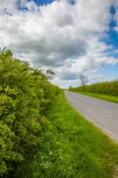 Threatened hedgerows Stock Photos