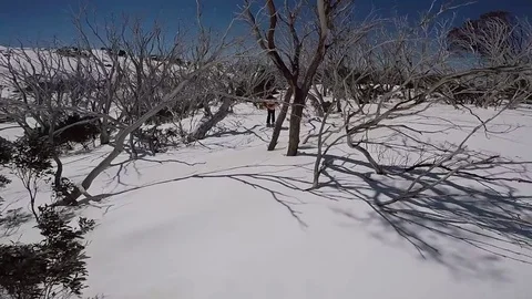 Thredbo Backcountry Skiing 스톡 동영상 80794490