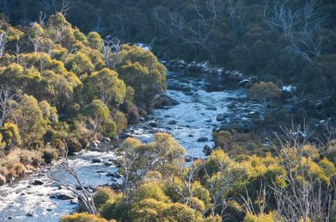 Thredbo River Stock Photos