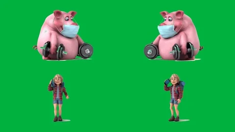 Three 2d character cartoon pigs and a boy all animated on green screen. Stock Footage 310122700
