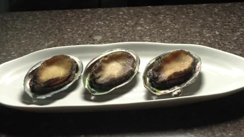 Three abalone on a white plate. Stock Footage 293189590