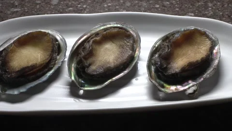 Three abalone on a white plate. Stock Footage 293189639