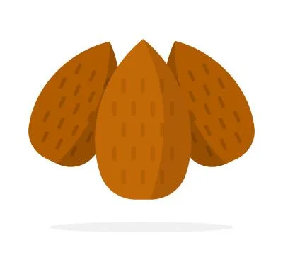 Three almond nuts in a shell vector flat isolated 스톡 일러스트