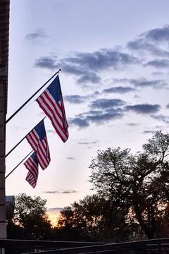 Three American Flags With Trees and Sunrise Sky Stock Photos
