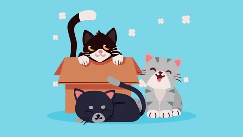 Three animated cats showcasing different personalities and colors, with one.. Vídeo Stock 338420954