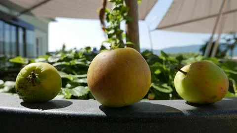Three apples, close view. Stock Photos