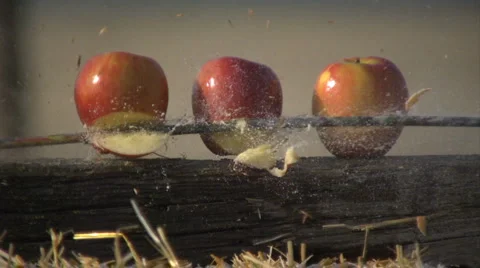 Three apples destroyed by arrow in slow motion Stock Footage 5173798