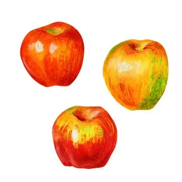 Three apples isolated on a white background. Stock Illustration