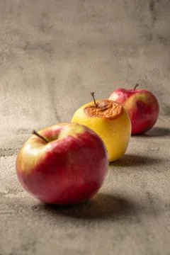 Three apples on a neutral background, with one wrinkled and decaying fruit Stock-Fotos