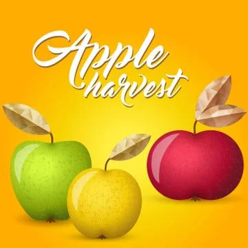 Three apples vector illustration Stock Illustration