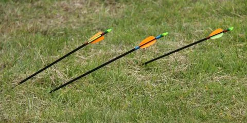 Three Archery Arrows. Stock Photos