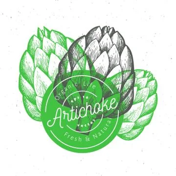 Three artichokes. Hand drawn vector food illustration. Engraved style vegetab Illustrazione stock