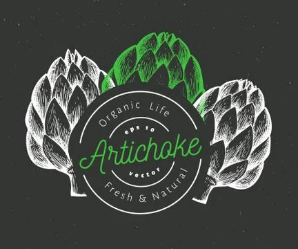 Three artichokes. Hand drawn vector food illustration on chalk board. Engrave Stock Illustration