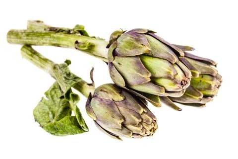 Three artichokes Stock Photos