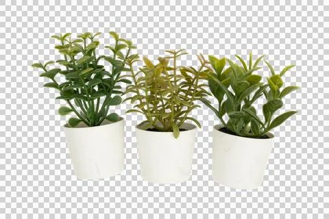 Three artificial potted plants showing home decor Stock Photos