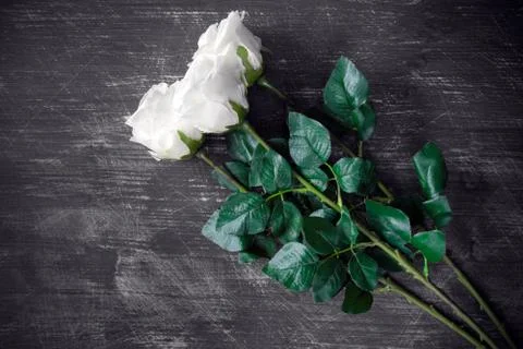 Three artificial white roses Stock Photos