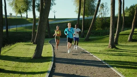Three attractive young people jogging together in beautiful alley of public park Stock Footage 139584299