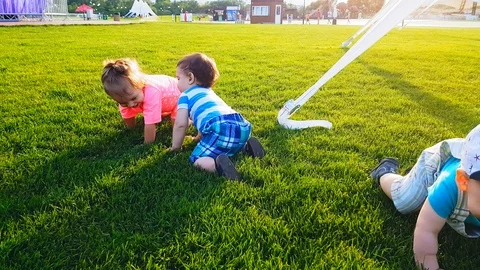 Three babies crawling on the bright green grass on a warm summer day Stock Footage 110250489