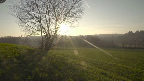 Three in back light at sunset with flare 스톡 동영상 73288009