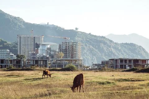 Three backdrop of mountains, palm trees, and an unfinished building under a.. Stock Photos