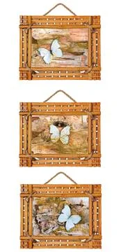 Three bamboo photo frames with abstract composition of butterflies, birch bar 스톡 사진