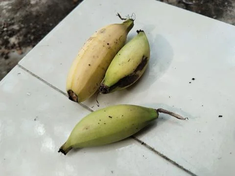 Three bananas 스톡 사진