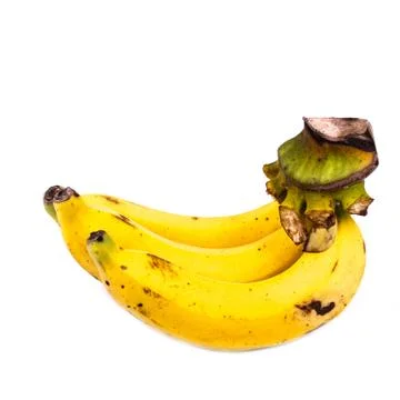 Three bananas in white background Stock Photos