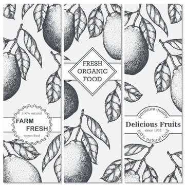 Three banner with hand-drawn pomelo. Vector illustration Stock Illustration