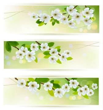 Three banners with blossoming tree branches. vector illustration Stock Illustration