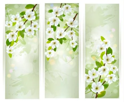 Three banners with blossoming tree branches. vector illustration Stock Illustration