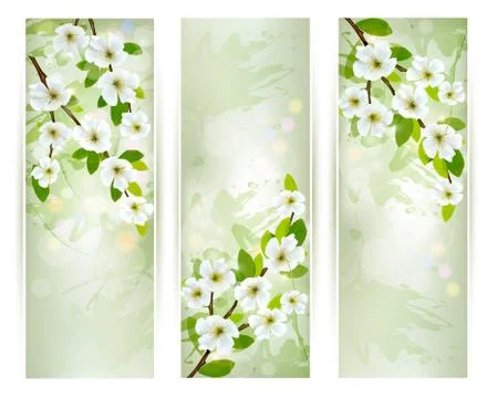 Three banners with blossoming tree branches. vector illustration Stock Illustration