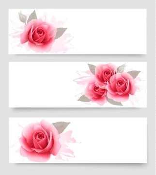 Three banners with pink roses. vector. Stock Illustration