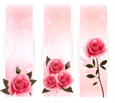 Three banners with pink roses. vector. Stock Illustration