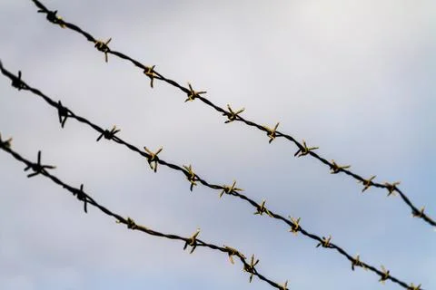 Three barbed wires Stock Photos