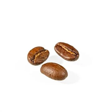 Three beans of roasted coffee close-up on a white background Stock Photos